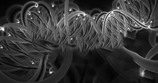 涤纶dty的低弹，微网，预网，轻网，重网各 是什么意思